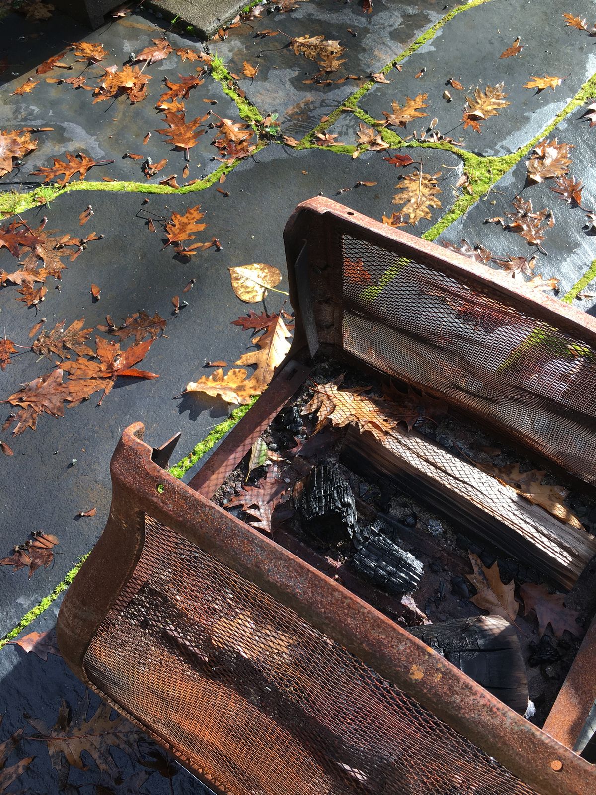 Image from cohen-cabin